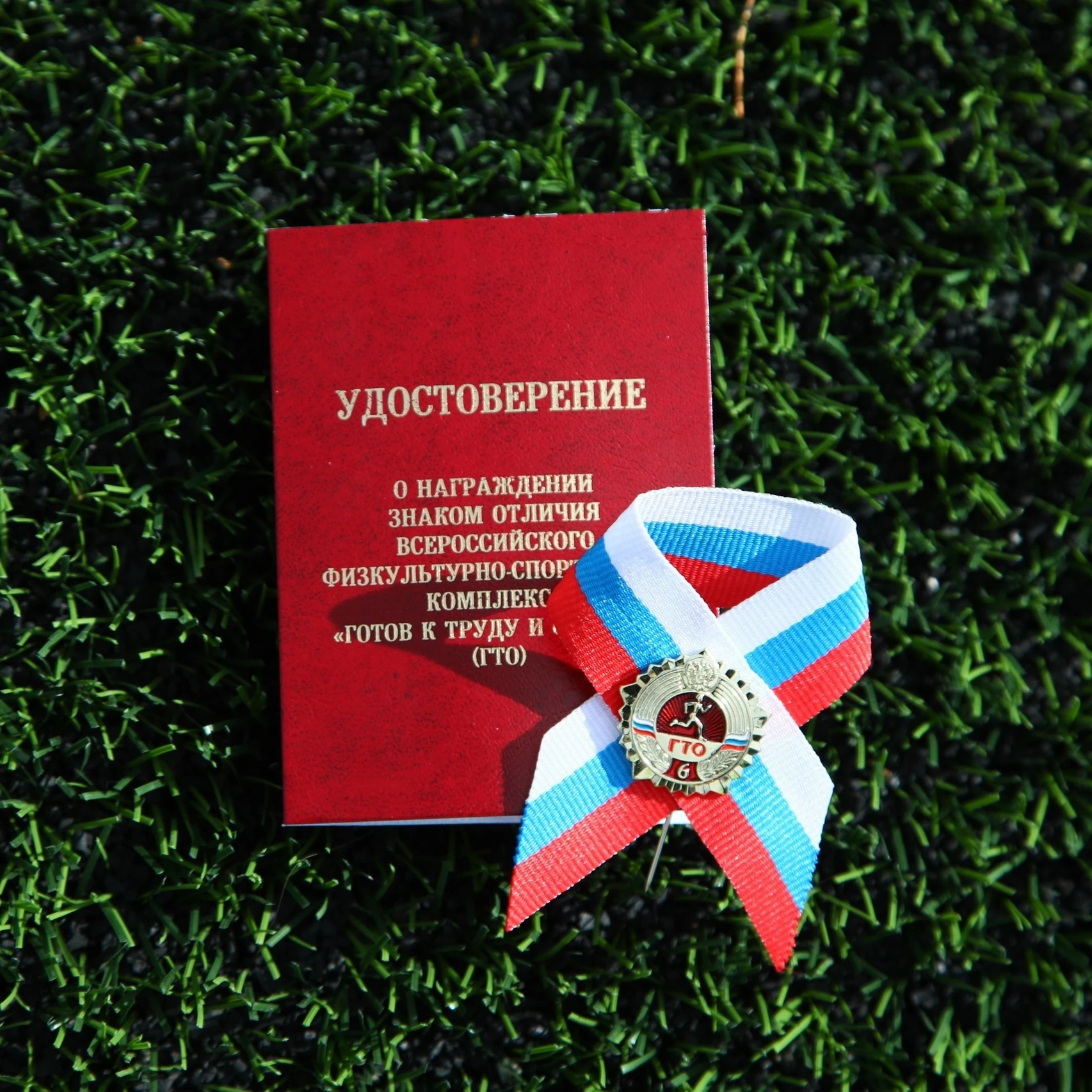 Знак отличия ГТО может дать дополнительные баллы при поступлении в ВУЗ